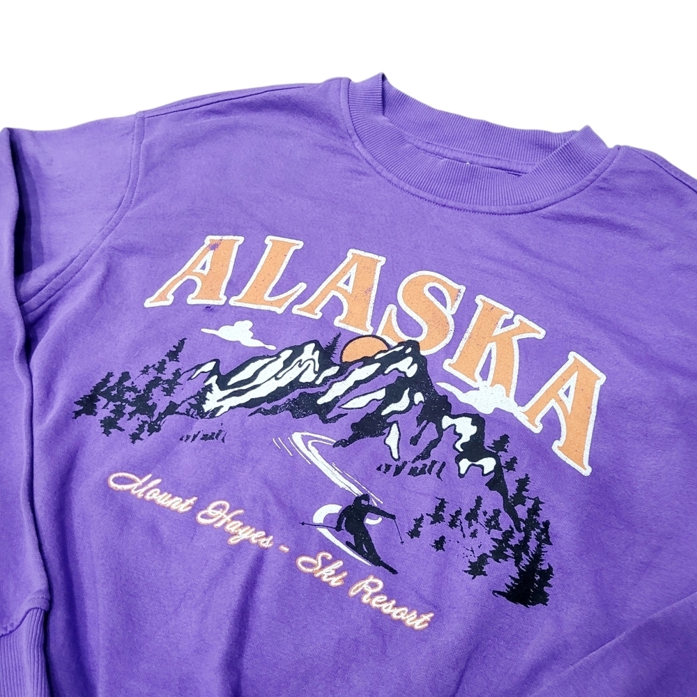 2/$20H&M Alaska Ski Resort Graphic Purple Sweatshirt Top Size: Large